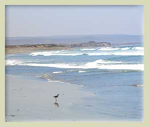 Playa del Socorro